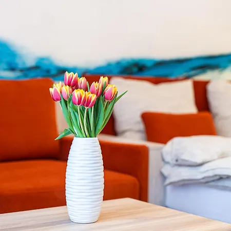 Premium Old Town Apartman Kassa